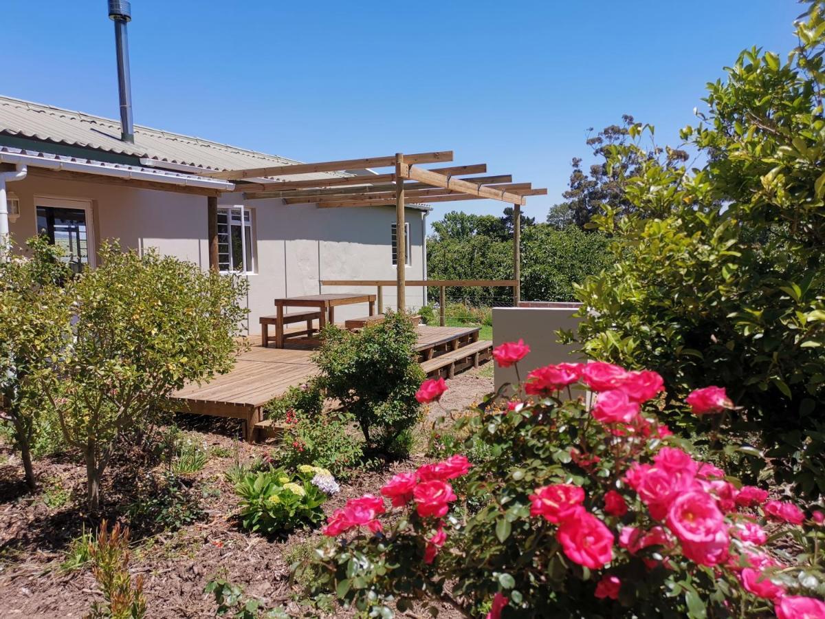Moortop Cottages إلغين المظهر الخارجي الصورة